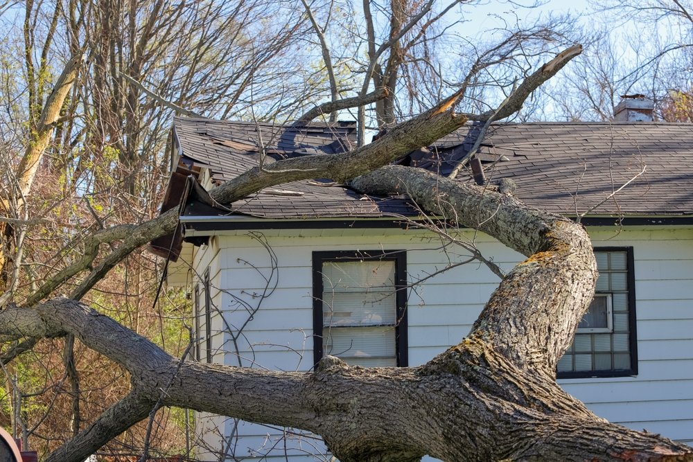 storm damage 1