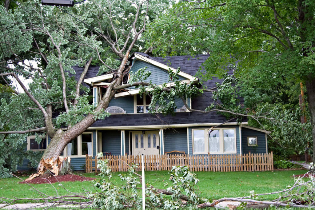 storm damage 2